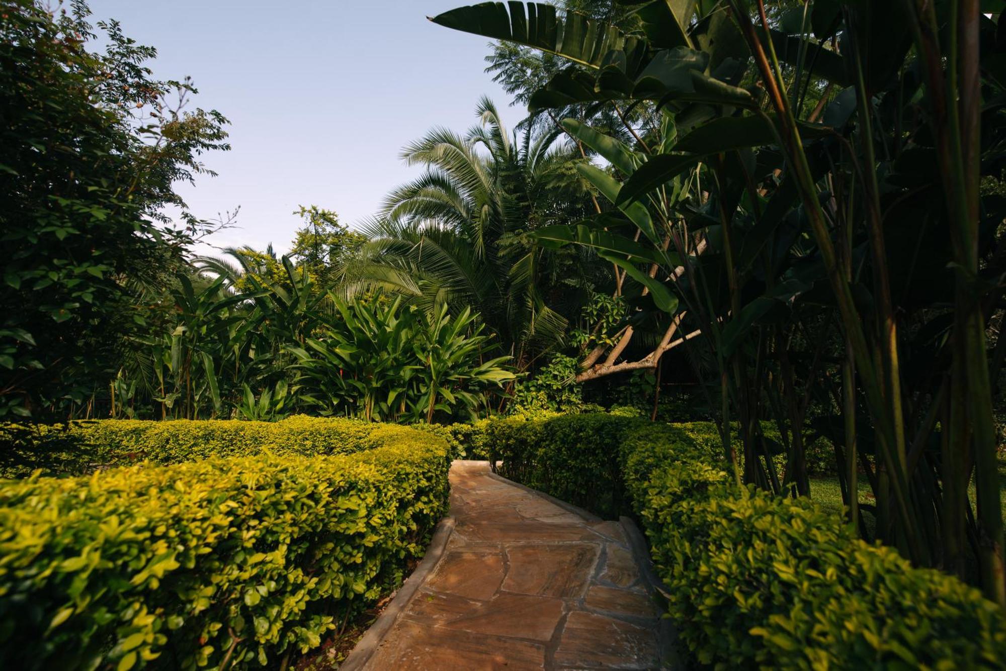 Aishi Machame Villa โมชิ ภายนอก รูปภาพ