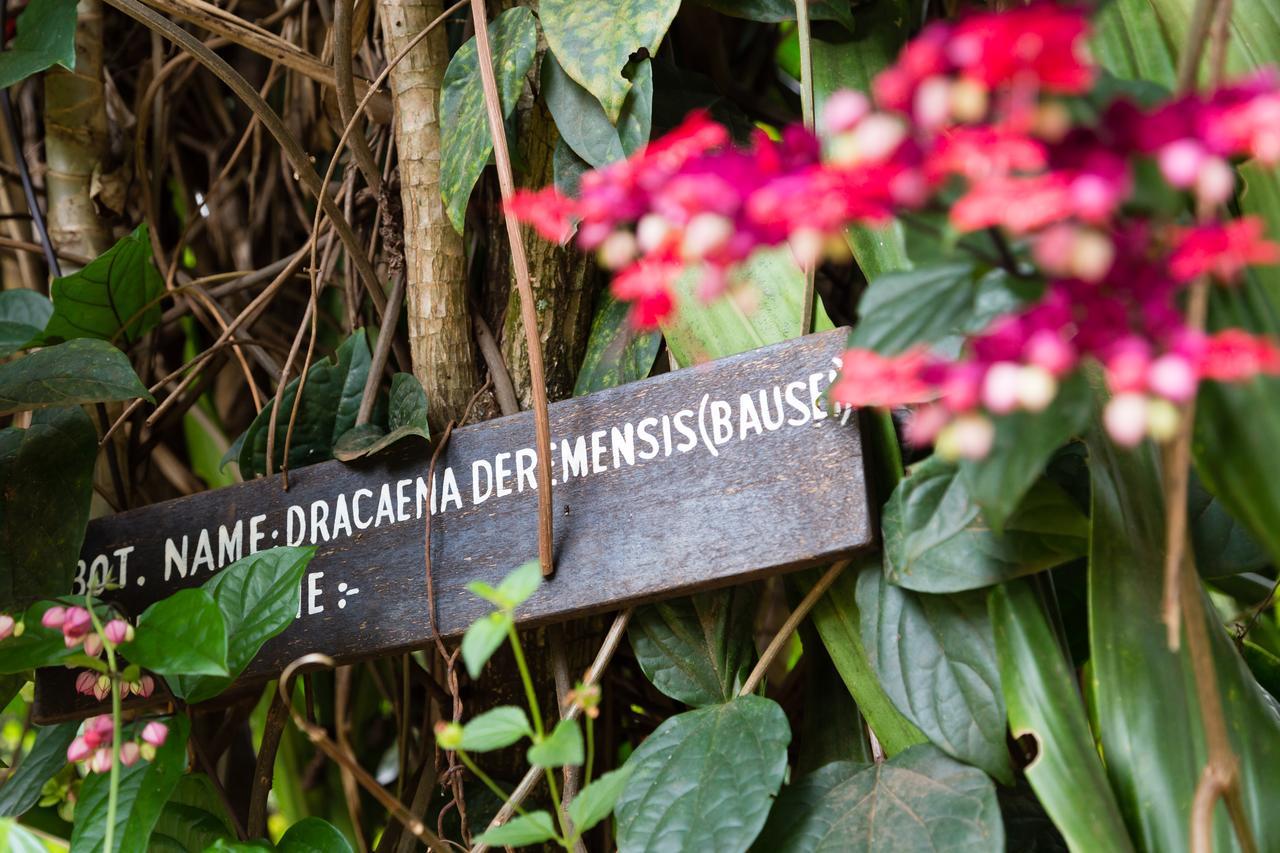 Aishi Machame Villa โมชิ ภายนอก รูปภาพ
